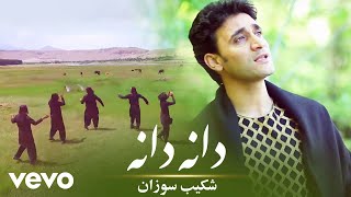 Shekib Sozan  Dana Dana  Official Video [upl. by Saunders656]