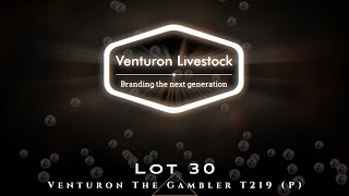 Lot 30 Venturon The Gambler T219 P [upl. by Ahsilem]