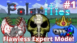 NoHits No Weapons and No Luck Terraria Polarities Mod Flawless Expert Mode Playthrough 1 [upl. by Leksehc]