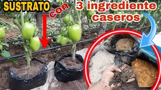 Crea el mejor SUSTRATO casero para TOMATE y otras plantas en tu huerto [upl. by Emelun111]