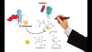 Pharmacology – ANTIBIOTICS – CELL WALL amp MEMBRANE INHIBITORS MADE EASY [upl. by Ellehctim]