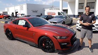 Is this 2020 Shelby GT500 the Ford Mustang YOU would BUY [upl. by Leitao]