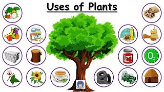 Uses of plant l Plants and their uses l uses of plantsfor kids l plant give us l uses of trees ll [upl. by Ahsilek]