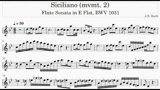 Siciliano  Bach Play Along C Instruments [upl. by Yedrahs362]