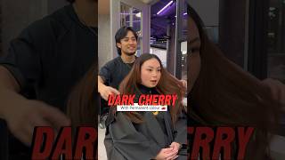 No more bleach Dark cherry red 🍒❤️‍🔥 hairconsultation sydneyhairdresser hairtransformation [upl. by Ttenneb]