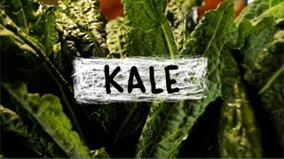 Kale  Superfoods Episode 5 [upl. by Enaej]