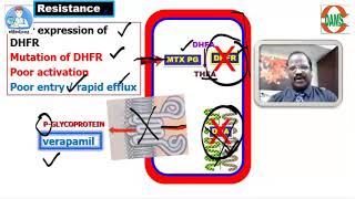 Anticancer drugs  ANTIMETABOLITES by Dr Thirunavukkarasu Jayaraman DAMS Faculty [upl. by Oag351]