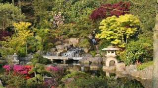 Meditation music Japanese garden [upl. by Powe]