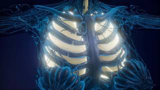 What Is Eosinophilic Asthma [upl. by Mechling]