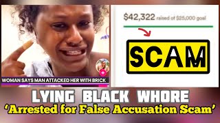 LYING BLACK WH0RE CHARGED for FALSELY ACCUSING MEN amp GOFUNDME SCAM 😂 BRICK LADY HELD ACCOUNTABLE [upl. by Hayyikaz152]