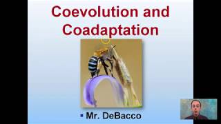 Coevolution and Coadaptation [upl. by Salem]