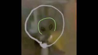 Las Vegas Alien Caught On Camera Alien Society51 [upl. by Bartosch793]