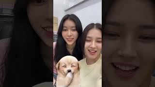 Nancy Jewel Mcdonie amp Jane Instagram live 230511 [upl. by Namqul]