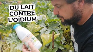 Du lait contre loïdium [upl. by Kennie]