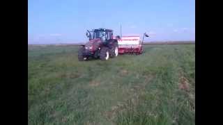 No Till grazing vetch into Eragrostis Curvula [upl. by Cilka65]