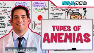 Hematology  Types of Anemias [upl. by Manouch]