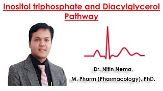 Inositol triphosphate and Diacylglycerol Pathway by Dr Nitin Nema [upl. by Kammerer]