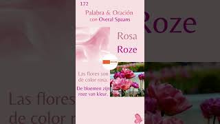 Roze in het Spaans  Woordje ＃ 172 OveralSpaans 🇪🇸 🩷 [upl. by Dloreg]