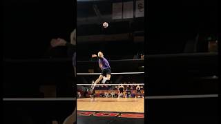 D1 Volleyball Player Jump Serve [upl. by Lacym800]