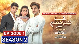 Sirf Tum Episode 49 Season 2  Sirf Tum Season 2  Anmol Baloch  Mohsin Abbas Haider  Har Pal Geo [upl. by Tahp413]