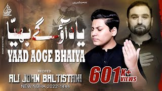 Arbaeen Noha Yaad Aoge Bhaiya  Ali John Baltistani  Shahid Baltistani  Nohay 2022  Muharram [upl. by Adnopoz]