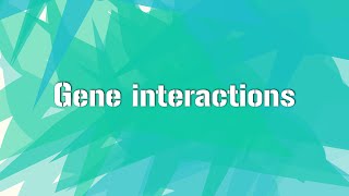 GENE INTERACTIONS Principle of inheritance and variation Class12 [upl. by Dunton]