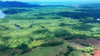 Mirador De Canales Del Río Sierpe Costa Rica [upl. by Nuhsed]