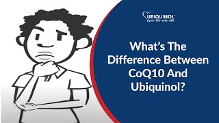 What’s The Difference Between CoQ10 And Ubiquinol [upl. by Anaujnas]