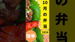 ◆単身弁当2◆ オヤジが自分のためだけに作る 10月後半 13食分 手作り shorts 弁当 cooking 簡単レシピ recipe bento lunchbox わっぱ [upl. by York]