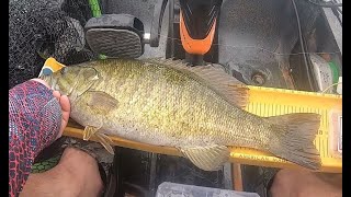 Smallie wonderland  Lake Simcoe [upl. by Fabi]