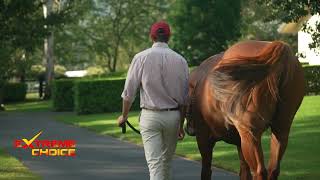 Extreme Choice 2024 Stallion Parade [upl. by Rella]