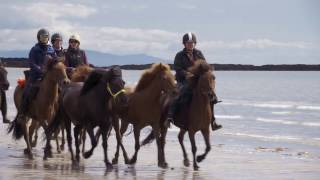 Snæfellsnes Riding Tour with Eldhestar [upl. by Butte]