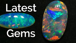 Opal Update  OUR BEST NEW OPALS [upl. by Annal]