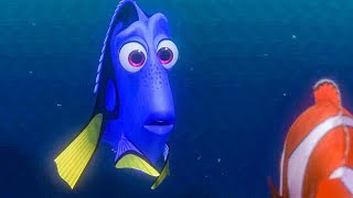 quotI Suffer From Short Term Memory Lossquot Scene  FINDING NEMO 2003 Movie Clip [upl. by Britney]