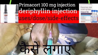 Primacort injection  deriphyllin injection कैसे लगाएं  Hydrocortisone injection in hindi [upl. by Tann]