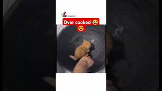 Oh no over cooked ll cute kitty 🥰 [upl. by Eulaliah]