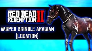 Warped Brindle Arabian Wild Horse Location  Red Dead Redemption 2 [upl. by Yerffoeg]