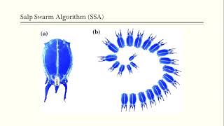 Salp swarminspired algorithm for parameters identification of photovoltaic cell models [upl. by Macleod]