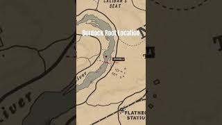 Burdock Root Location rdr2 gaming arrakisstudio xbox rdrgameplay [upl. by Felisha467]