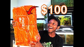 FISH ROOM SHOPPING SPREE Temu unboxing [upl. by Acessej]