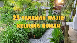 ✅ 25 TANAMAN BERGUNA WAJIB DITANAM KELILING RUMAH AGAR LEBIH HIJAU DAN SIHAT [upl. by Dwight785]