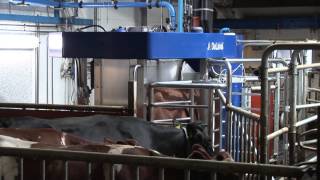 DeLaval Gjødselrobot Garberg Stasjon Selbu Norge [upl. by Nerha]