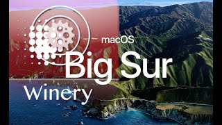 Run Windows App under MacOs big sur by wineskin  2021 Mar Detailed [upl. by Erik]