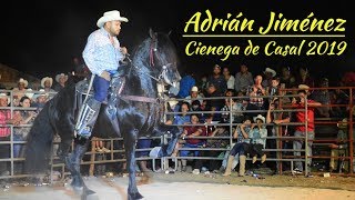 🏆1° ADRIAN JIMENEZ Caballos Bailadores Ciénega de Casal [upl. by Marcin]