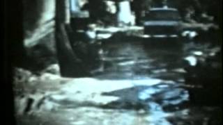 ALLUVIONE DI FIRENZE  novembre 1966 novembre 2006 [upl. by Netnilc]