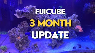 Fiji Cube AIO Nano Reef Update [upl. by Eceirtal120]