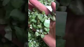 20kgs peridots peridot afghanistan afghanite gemstone gemstonepakistan gems [upl. by Ellek]