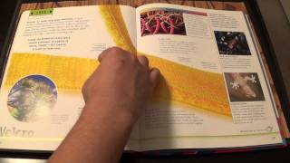 ASMR  Page turning  18  World Changing Ideas Book  no talking [upl. by Lleznol201]