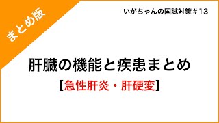 肝臓の機能と疾患まとめ【急性肝炎と肝硬変】 [upl. by Nealon907]