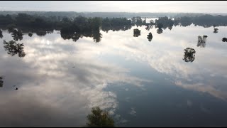 Atemberaubend  Hochwasser MarchThaya Au 17924  RabensburgHohenauDrösingDürnkrutStillfried [upl. by Sharl]